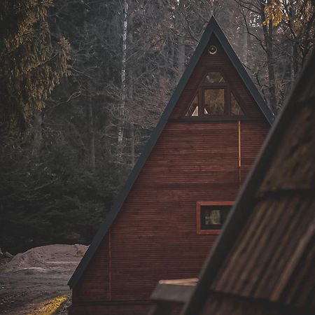 Vila Lesny Dwor Janowice Wielkie Exteriér fotografie