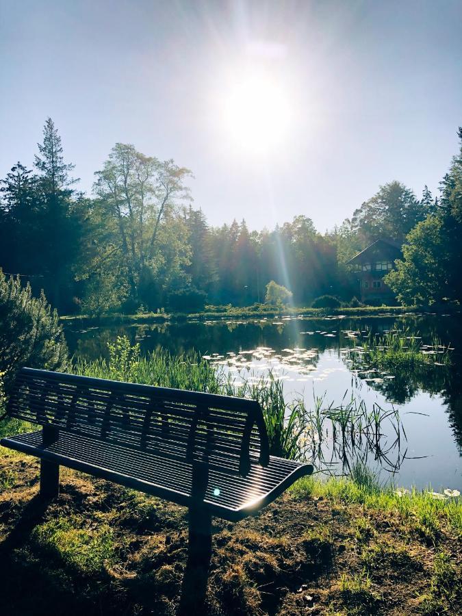 Vila Lesny Dwor Janowice Wielkie Exteriér fotografie