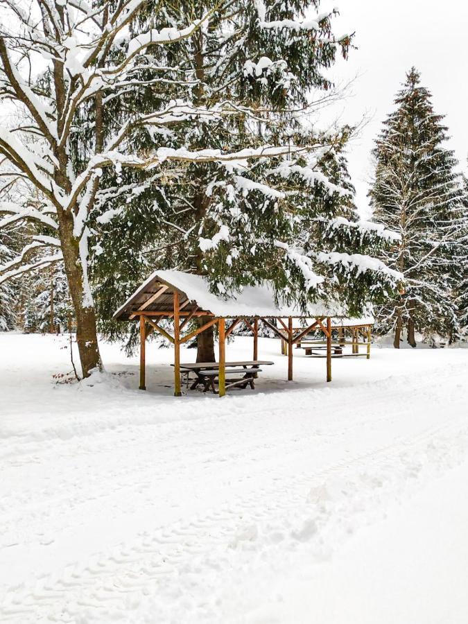 Vila Lesny Dwor Janowice Wielkie Exteriér fotografie