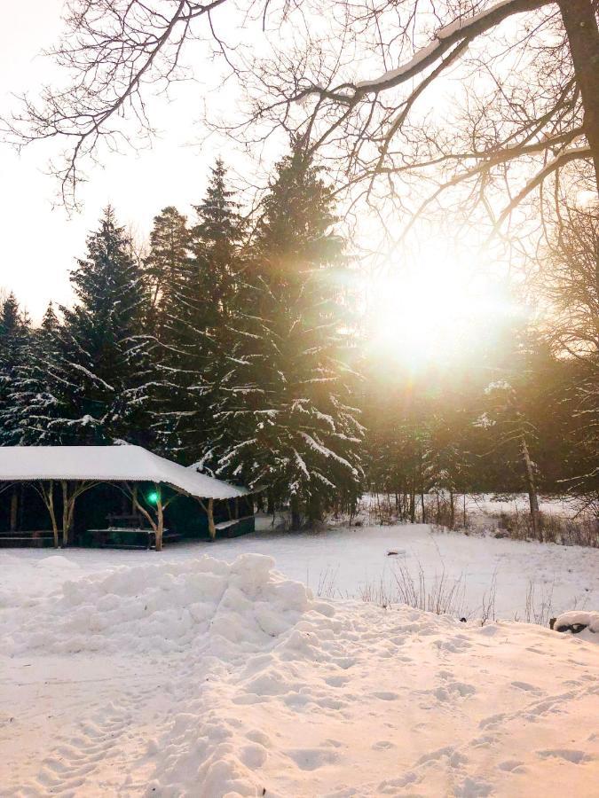 Vila Lesny Dwor Janowice Wielkie Exteriér fotografie