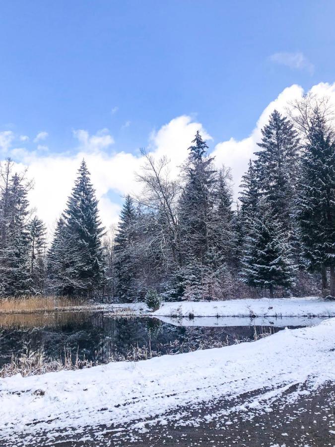 Vila Lesny Dwor Janowice Wielkie Exteriér fotografie
