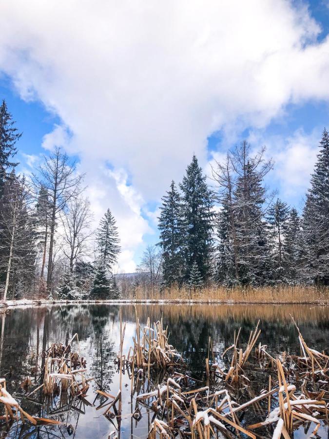 Vila Lesny Dwor Janowice Wielkie Exteriér fotografie