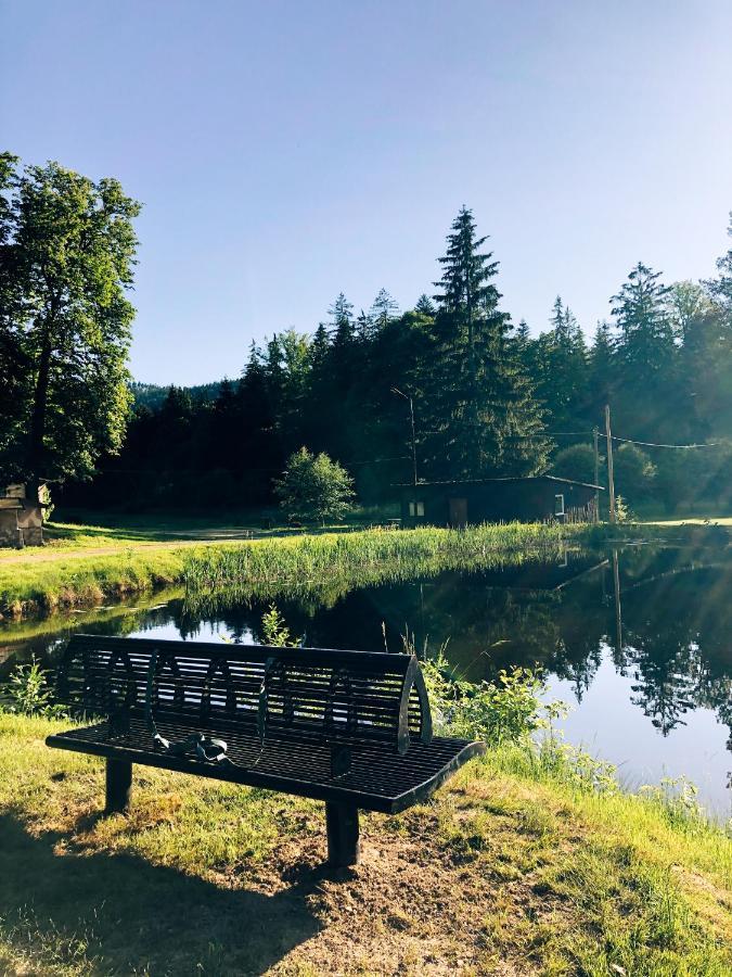 Vila Lesny Dwor Janowice Wielkie Exteriér fotografie