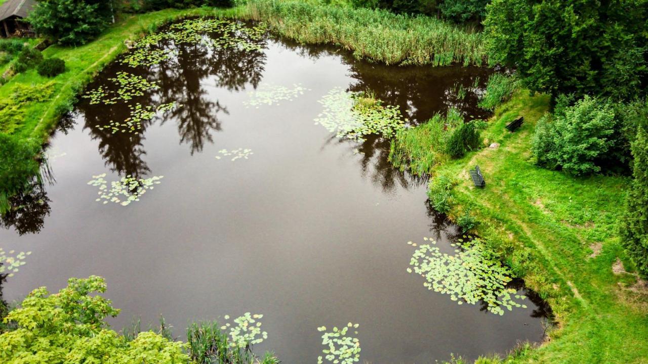 Vila Lesny Dwor Janowice Wielkie Exteriér fotografie