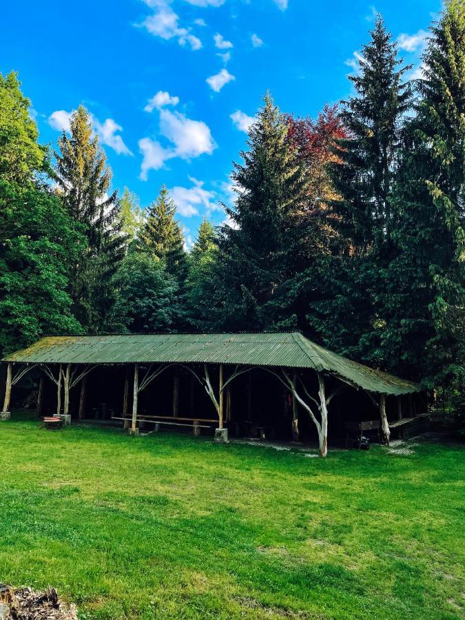 Vila Lesny Dwor Janowice Wielkie Exteriér fotografie