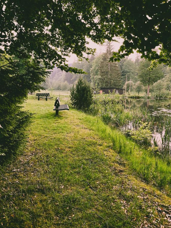 Vila Lesny Dwor Janowice Wielkie Exteriér fotografie
