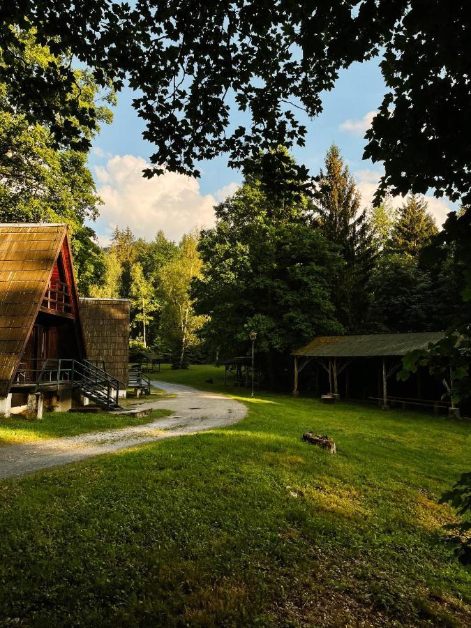 Vila Lesny Dwor Janowice Wielkie Exteriér fotografie