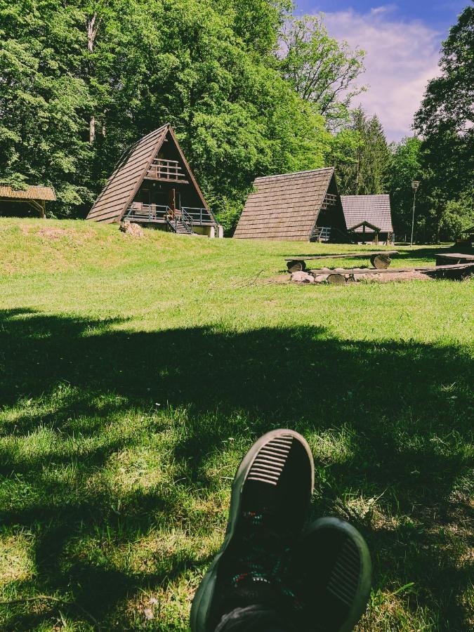 Vila Lesny Dwor Janowice Wielkie Exteriér fotografie