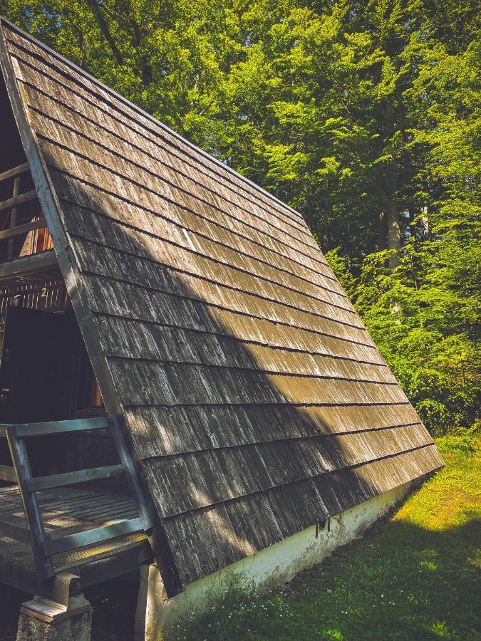 Vila Lesny Dwor Janowice Wielkie Exteriér fotografie