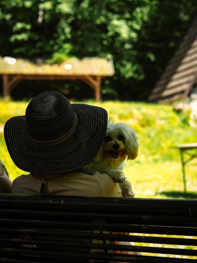 Vila Lesny Dwor Janowice Wielkie Exteriér fotografie