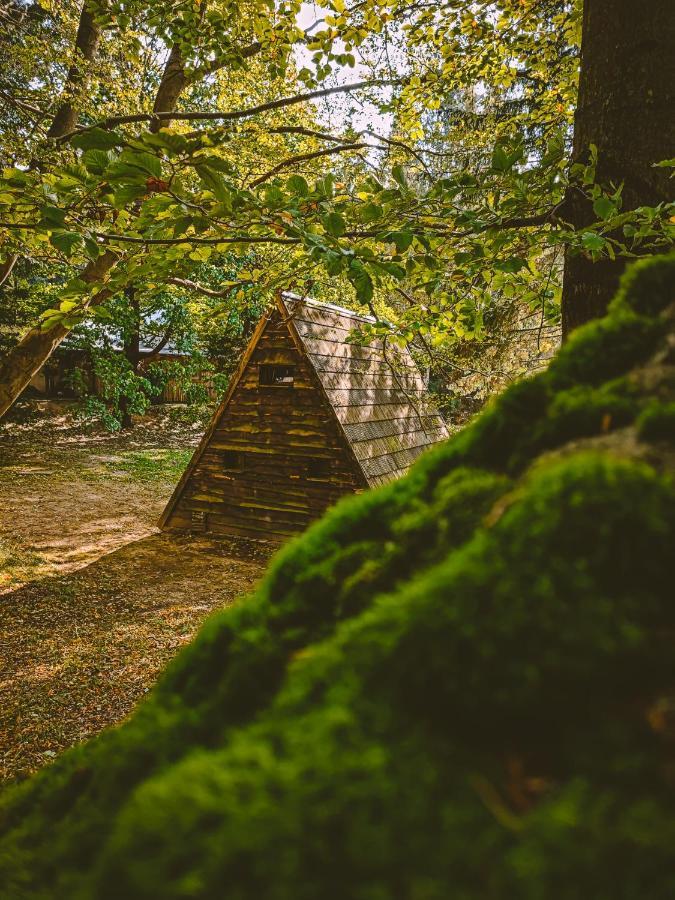 Vila Lesny Dwor Janowice Wielkie Exteriér fotografie