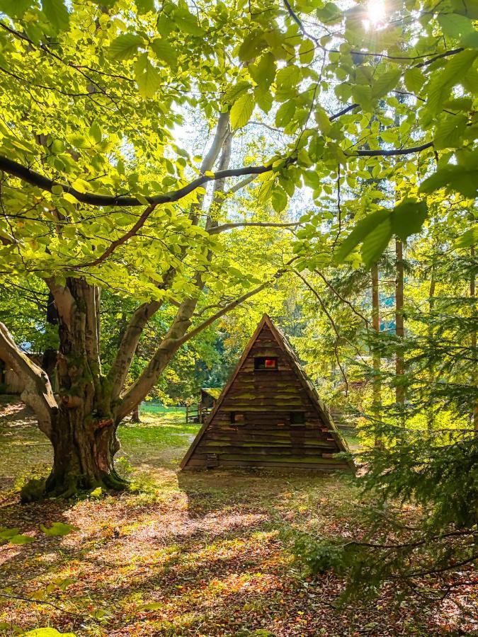 Vila Lesny Dwor Janowice Wielkie Exteriér fotografie